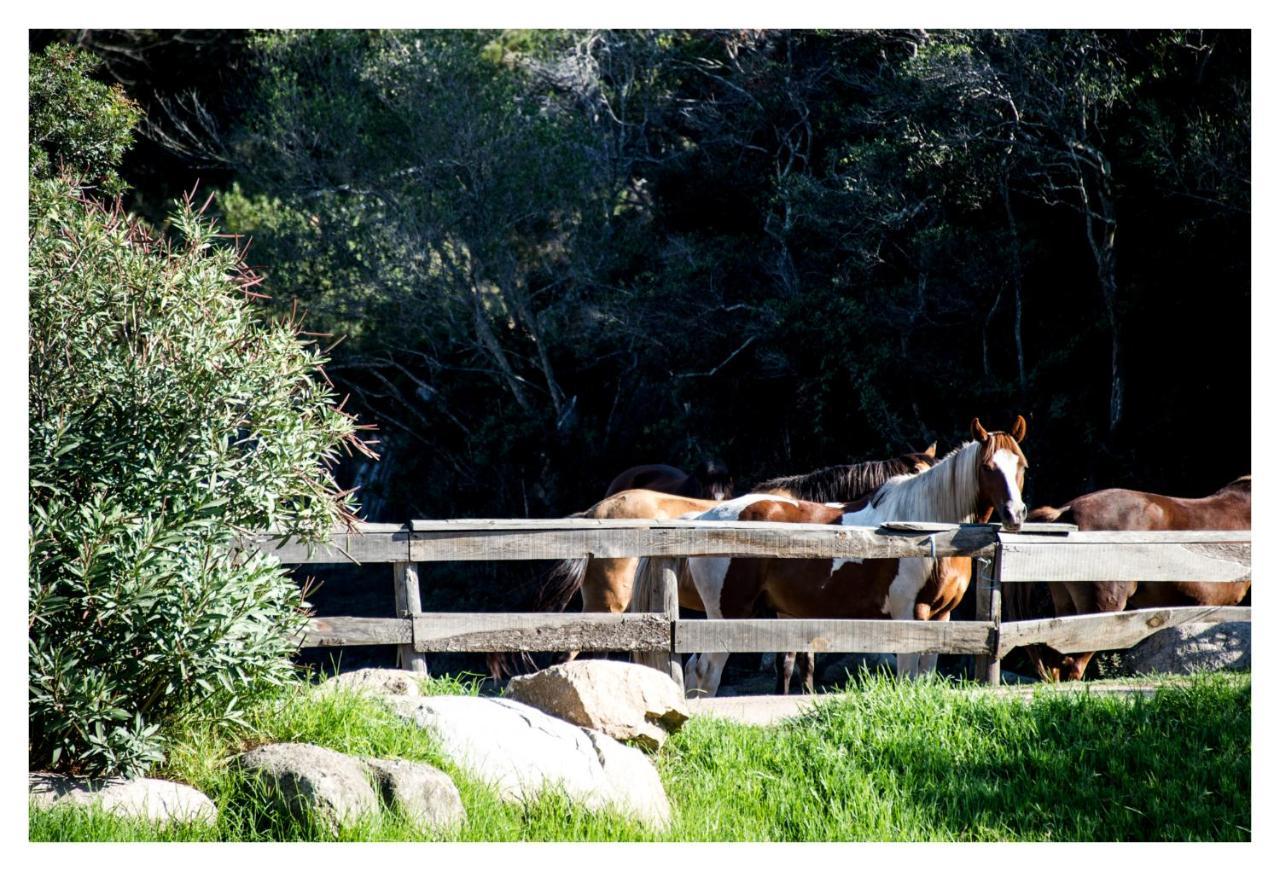 Hotel Ranch Campo Palombaggia Porto Vecchio Exterior foto