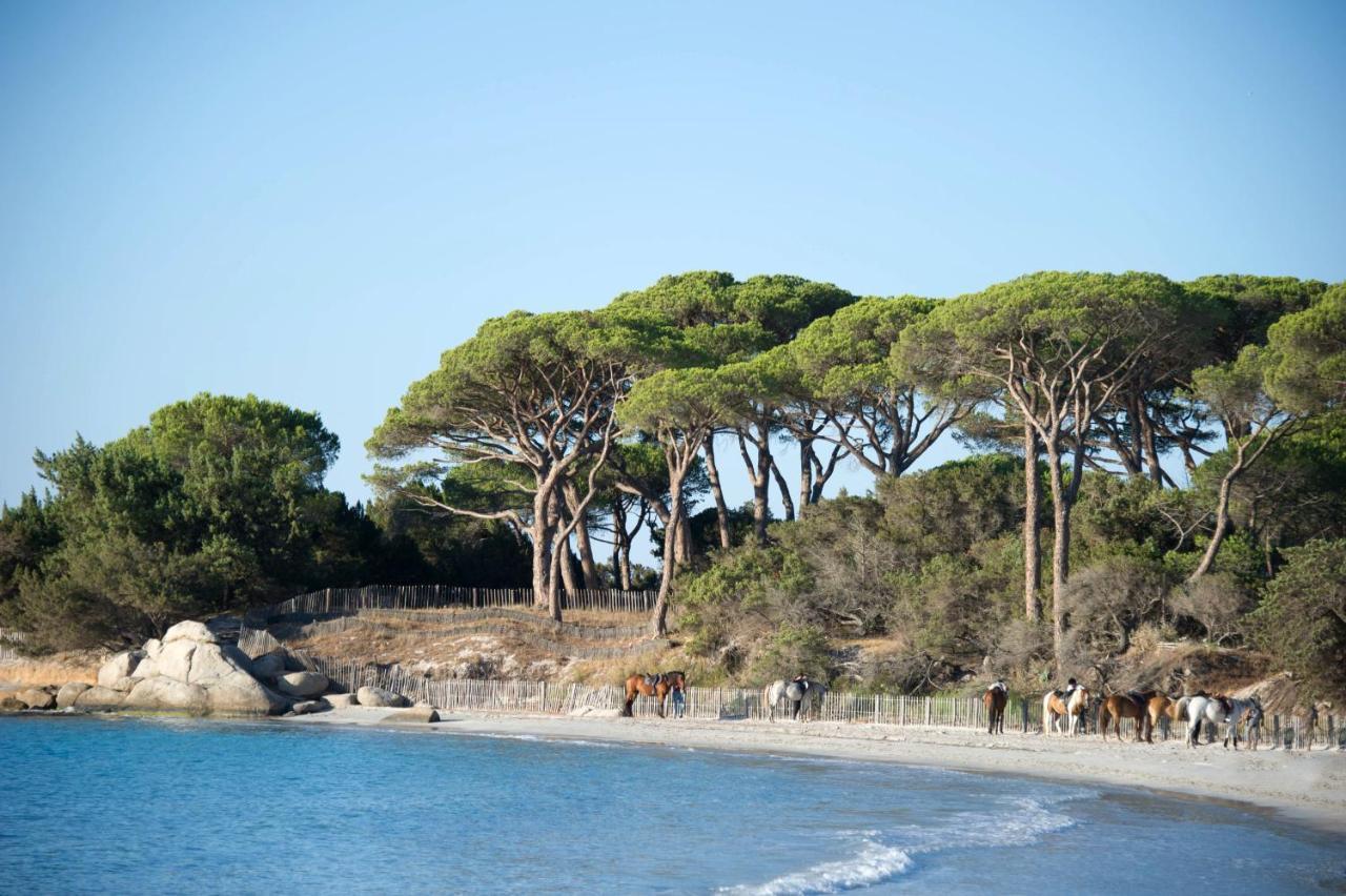 Hotel Ranch Campo Palombaggia Porto Vecchio Exterior foto